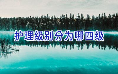 护理级别分为哪四级