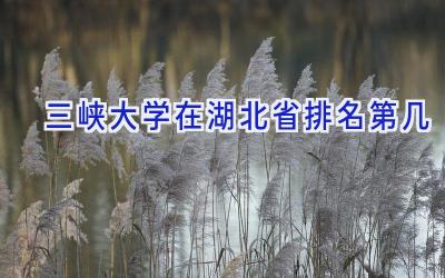 三峡大学在湖北省排名第几