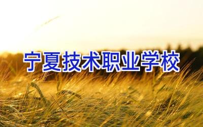 宁夏技术职业学校