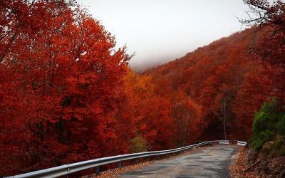 大专交社保后专升本算应届吗