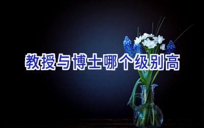 教授与博士哪个级别高
