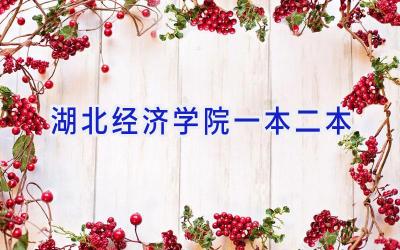 湖北经济学院一本二本