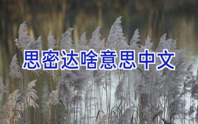 思密达啥意思中文