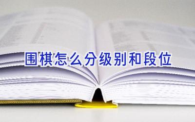 围棋怎么分级别和段位