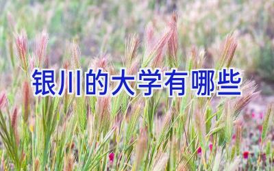 银川的大学有哪些