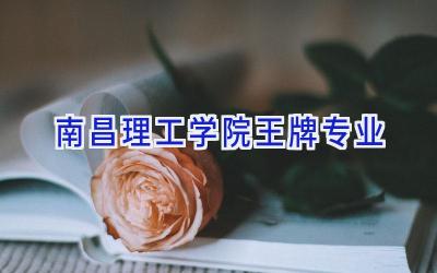 南昌理工学院王牌专业