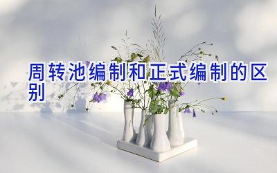 周转池编制和正式编制的区别