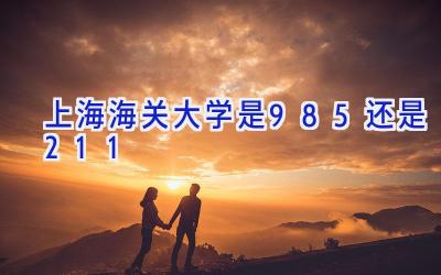 上海海关大学是985还是211