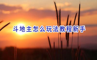 斗地主怎么玩法教程新手