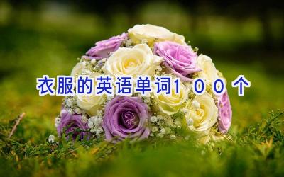 衣服的英语单词100个