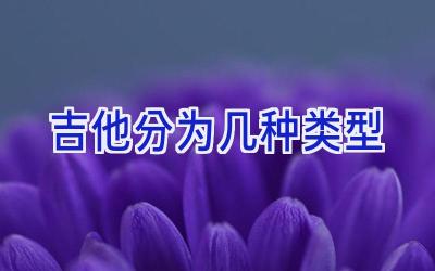 吉他分为几种类型