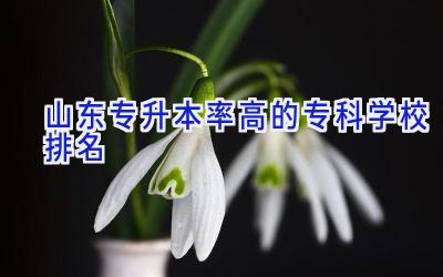 山东专升本率高的专科学校排名