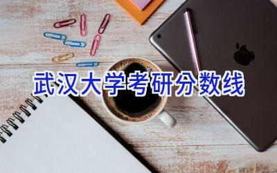 武汉大学考研分数线