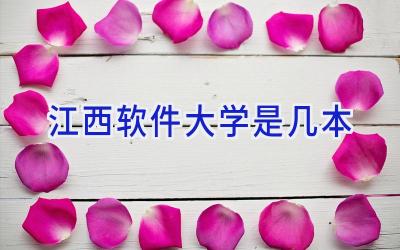 江西软件大学是几本