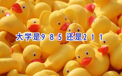 大学是985还是211