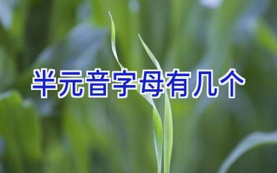 半元音字母有几个