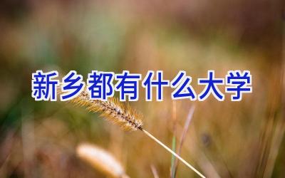 新乡都有什么大学