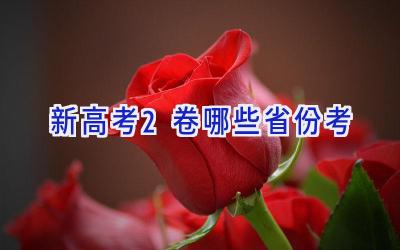 新高考2卷哪些省份考
