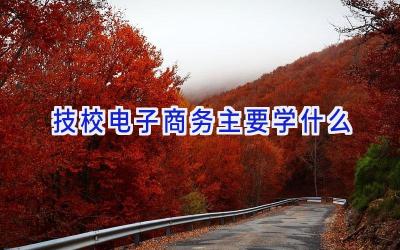 技校电子商务主要学什么