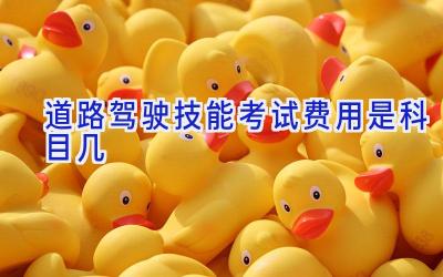 道路驾驶技能考试费用是科目几