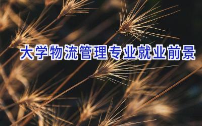 大学物流管理专业就业前景