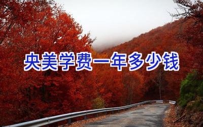 央美学费一年多少钱