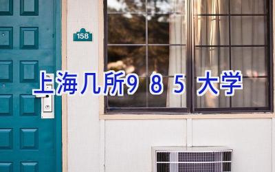 上海几所985大学
