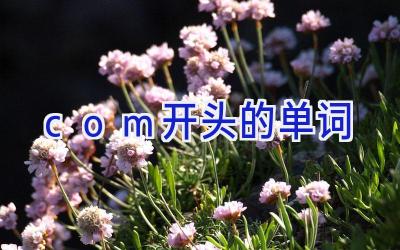 com开头的单词