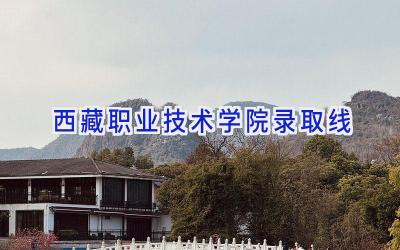 西藏职业技术学院录取线