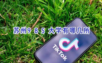 苏州985大学有哪几所