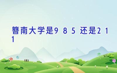 簪南大学是985还是211