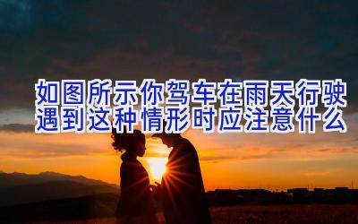 如图所示你驾车在雨天行驶遇到这种情形时应注意什么