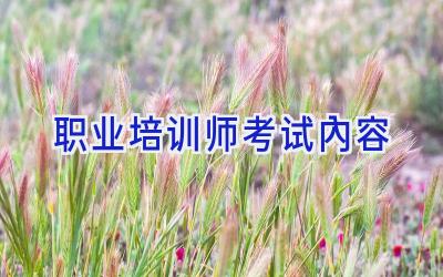 职业培训师考试内容