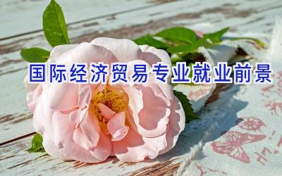 国际经济贸易专业就业前景