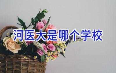 河医大是哪个学校