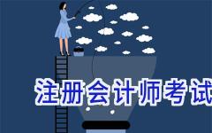 注册会计师考试打印准考证