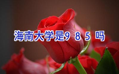 海南大学是985吗