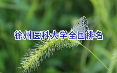徐州医科大学全国排名
