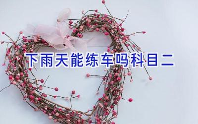 下雨天能练车吗科目二