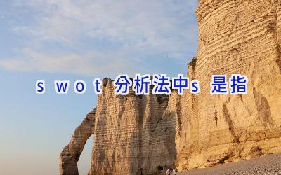 swot分析法中s是指