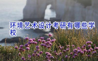 环境艺术设计考研有哪些学校