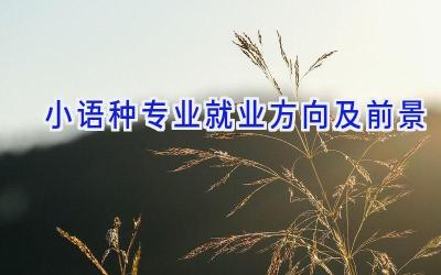 小语种专业就业方向及前景
