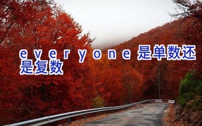 everyone是单数还是复数