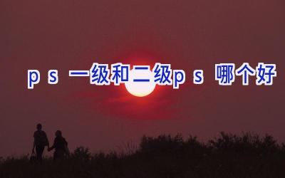 ps一级和二级ps哪个好