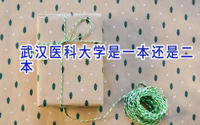 武汉医科大学是一本还是二本