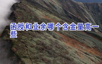 函授和业余哪个含金量高一些