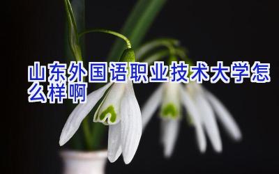 山东外国语职业技术大学怎么样啊