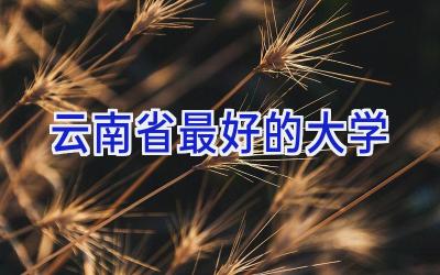 云南省最好的大学