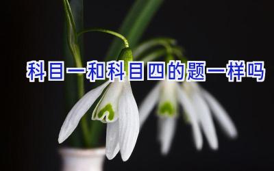 科目一和科目四的题一样吗