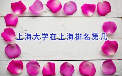 上海大学在上海排名第几